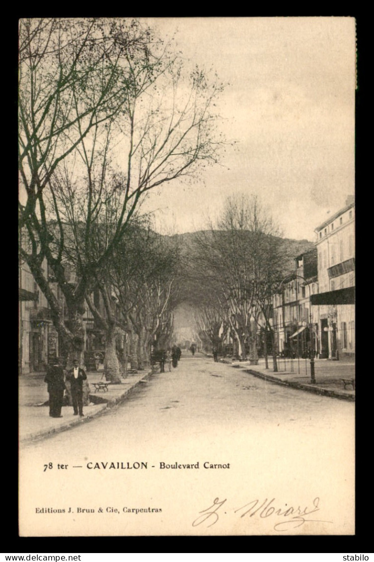 84 - CAVAILLON - BOULEVARD CARNOT - Cavaillon