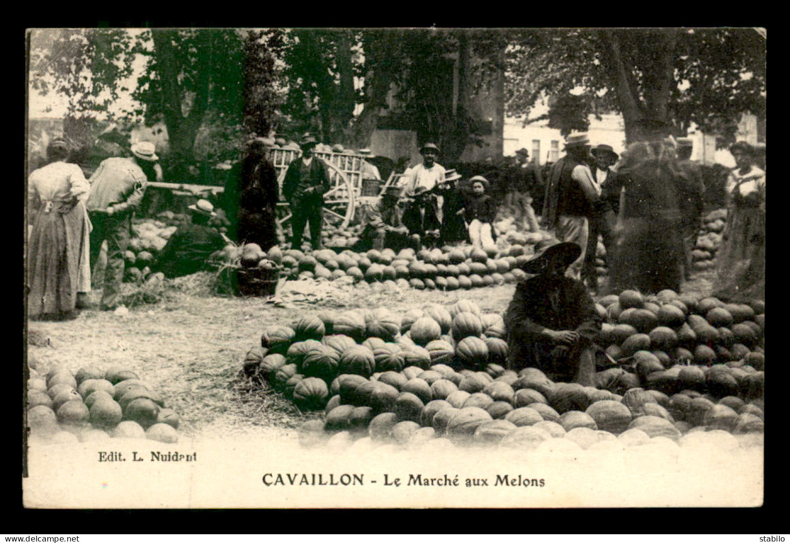 84 - CAVAILLON - LE MARCHE AUX MELONS - Cavaillon