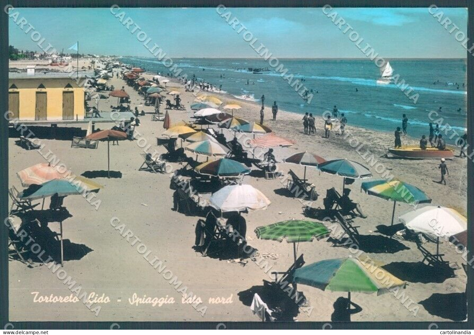 Teramo Tortoreto Spiaggia Mare Alterocca 62663 Foto FG Cartolina JK1579 - Teramo