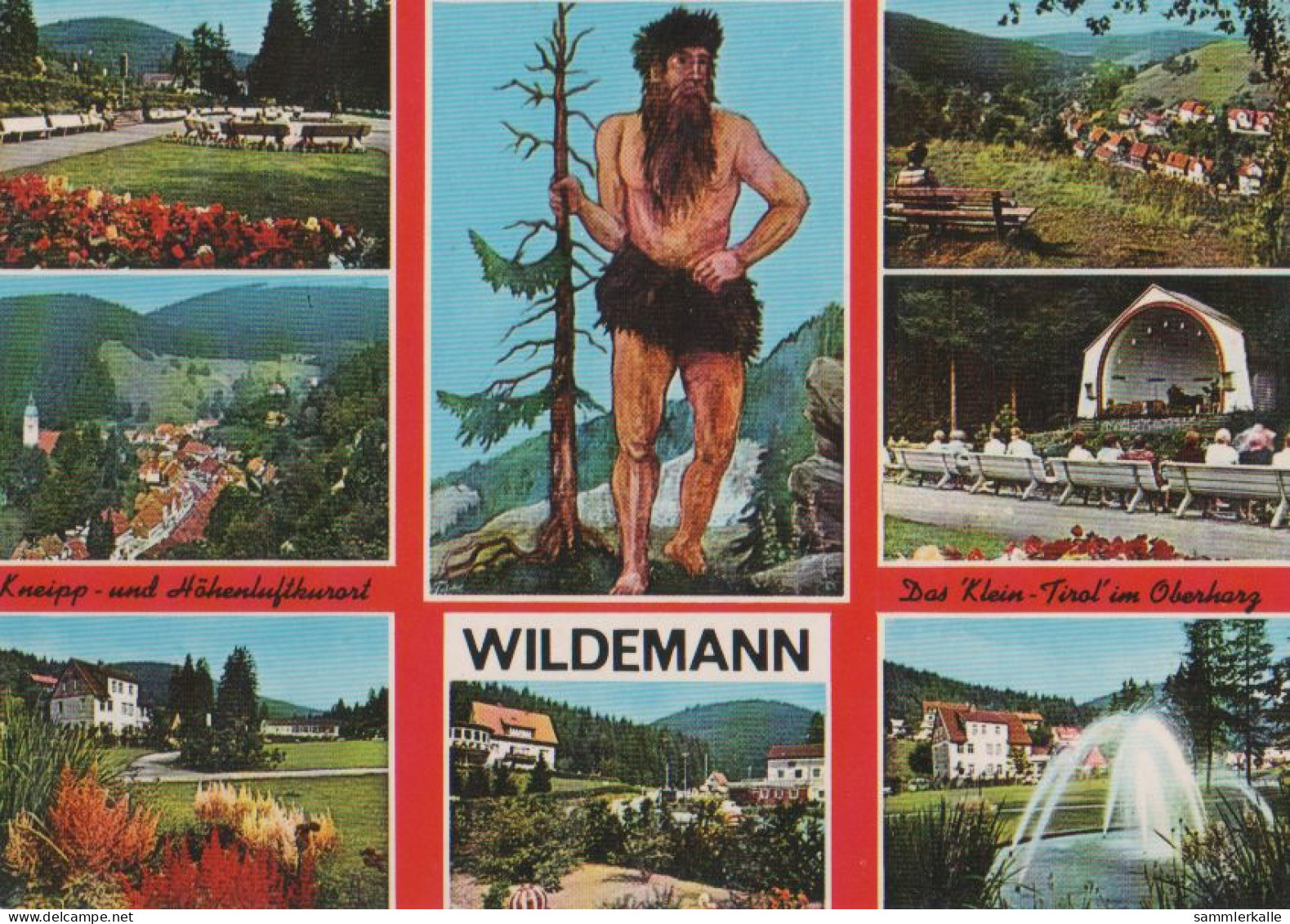 27895 - Wildemann - Mit 7 Bildern - Ca. 1975 - Wildemann