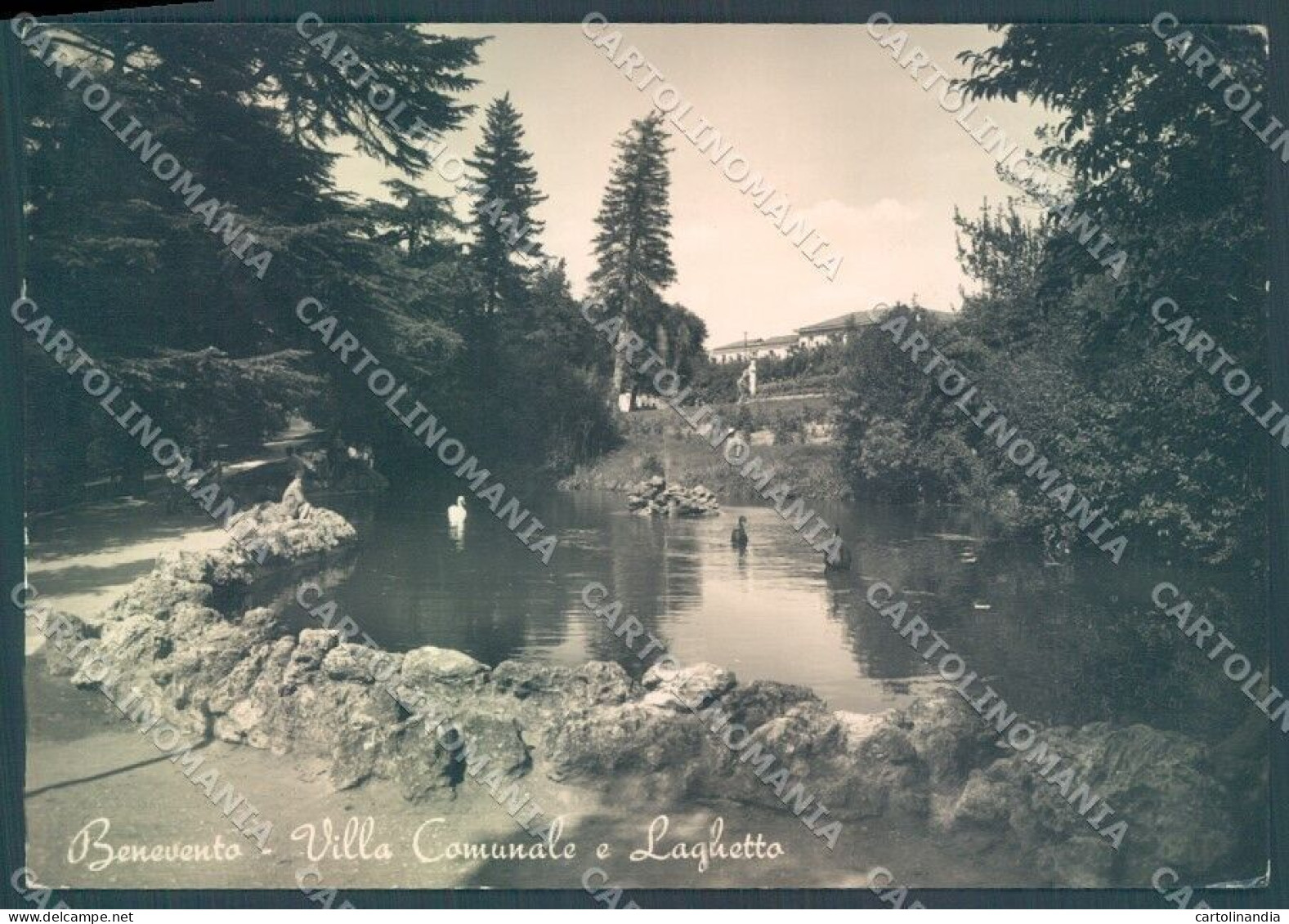 Benevento Villa Comunale Laghetto PIEGHINA Foto FG Cartolina JK1778 - Benevento