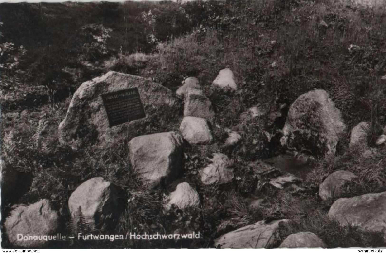 38665 - Furtwangen - Donauquelle - 1958 - Furtwangen