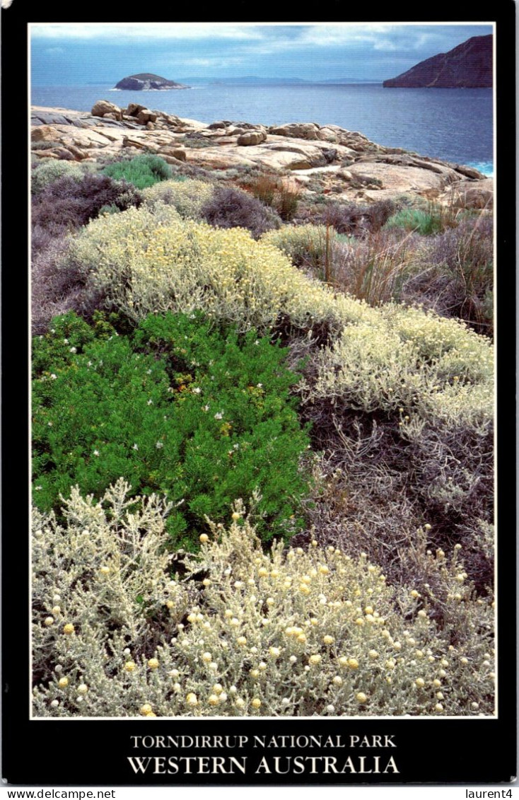 14-4-2024 (2 Z 1) Australia - WA - Torndirrup National Park - Andere & Zonder Classificatie