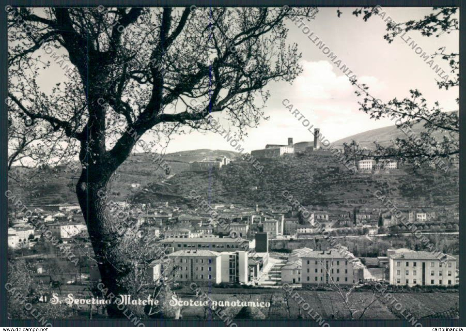 Macerata San Severino Marche Foto FG Cartolina MV7879 - Macerata