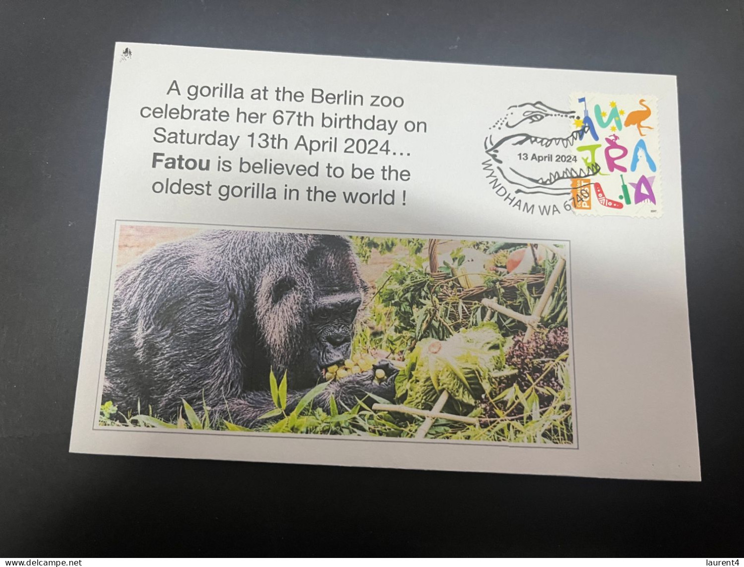 14-4-2024 (2 Z 2) A Gorilla Named FATOU In Berlin Zoo Beleibed To Be The Olded Living Gorilla Age 67 In The World - Apen