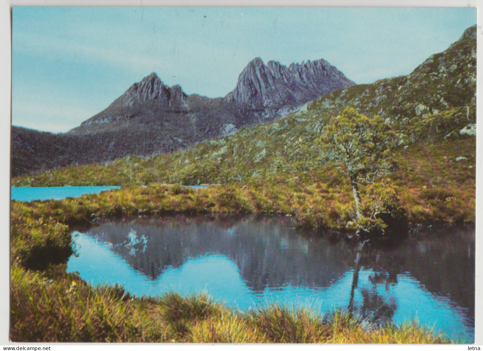 Australia TASMANIA TAS Wilderness CRADLE MOUNTAIN & DOVE LAKE Murfett P8065 Postcard C1970s - Wilderness