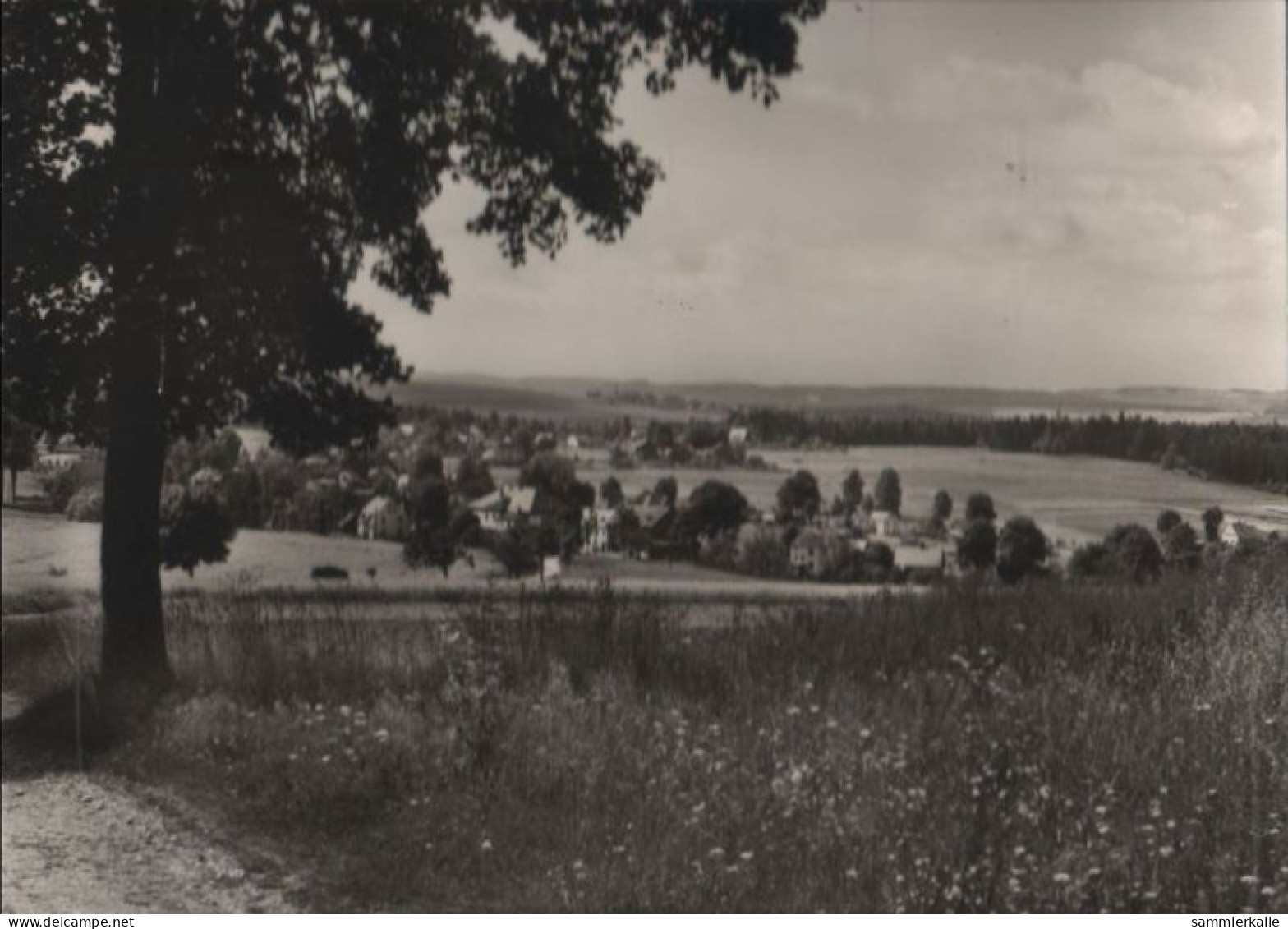 40120 - Erlbach-Wernitzgrün - Sommerfrische - 1972 - Erlbach-Kirchberg