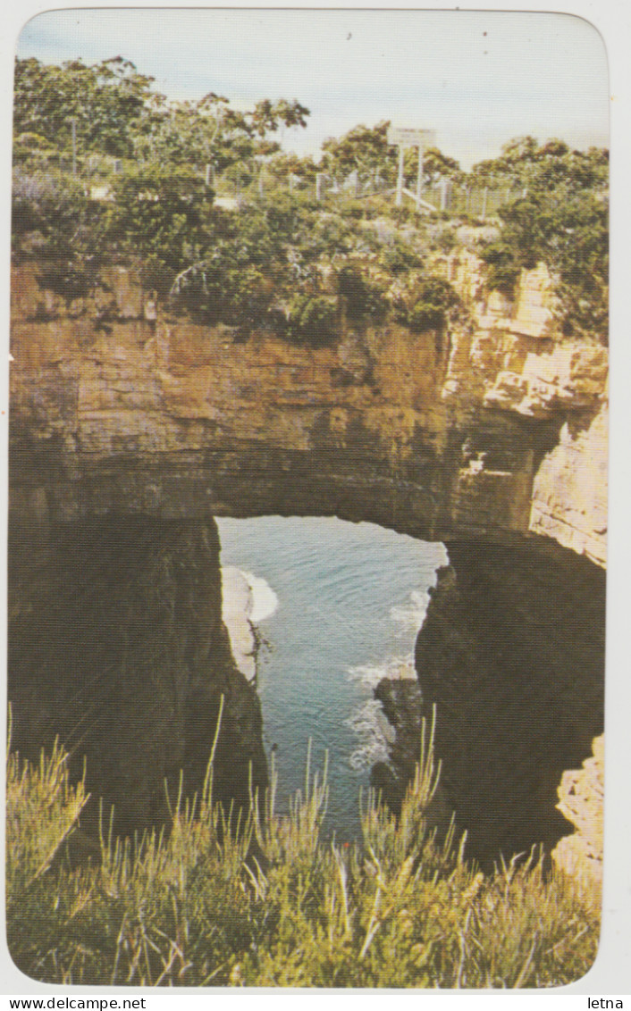 Australia TASMANIA TAS Tasmans Arch EAGLEHAWK NECK Kamera Card Arght LV311 Postcard C1970s - Port Arthur