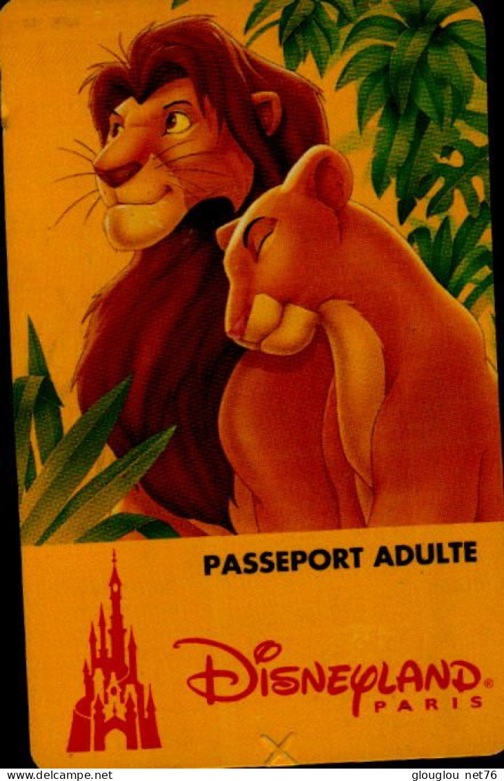 PASSEPORT DISNEY..    ADULTES ....VALIDE 1 JOUR .... - Passaporti  Disney