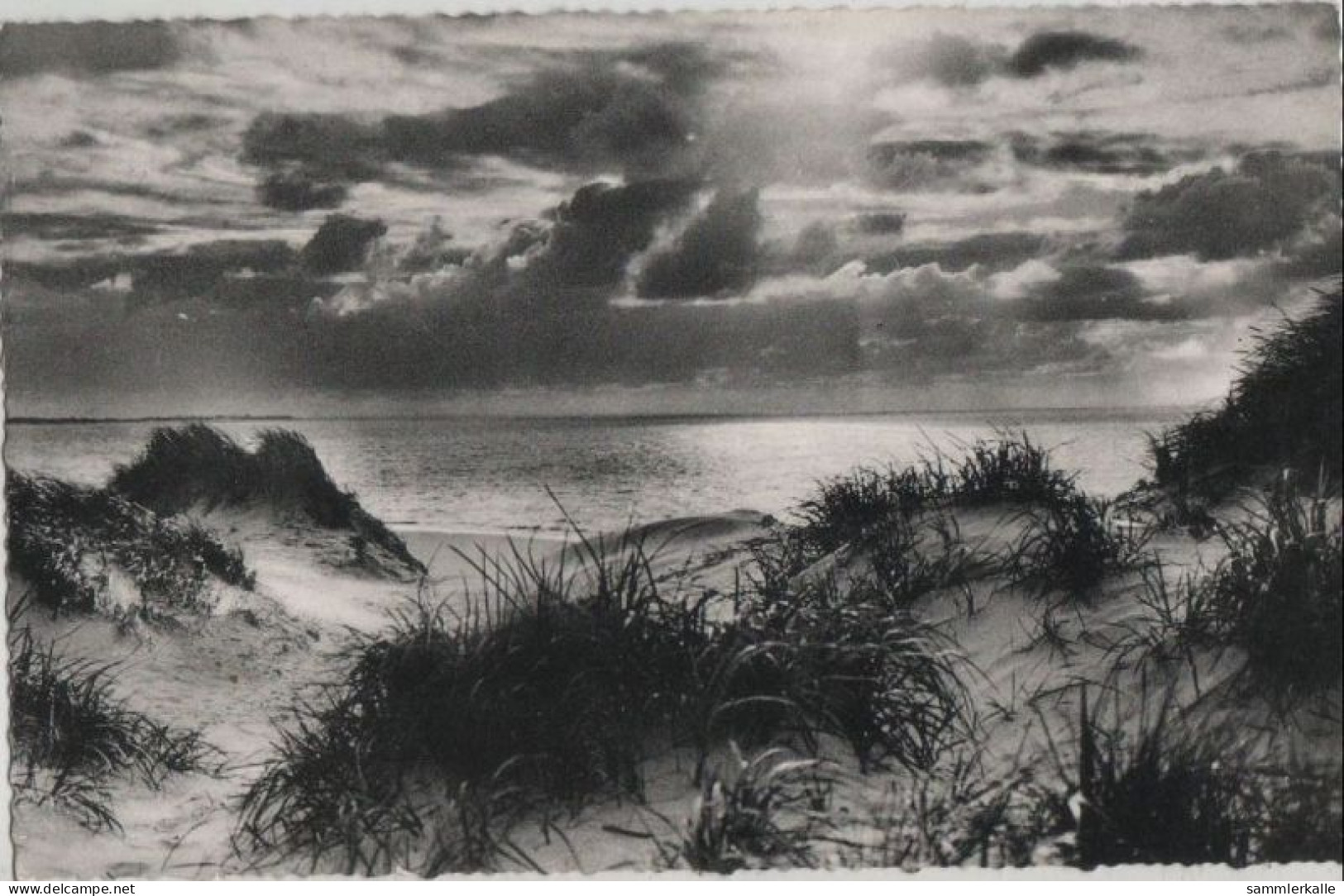 113404 - Sylt - Dünen Und Strand - Sylt