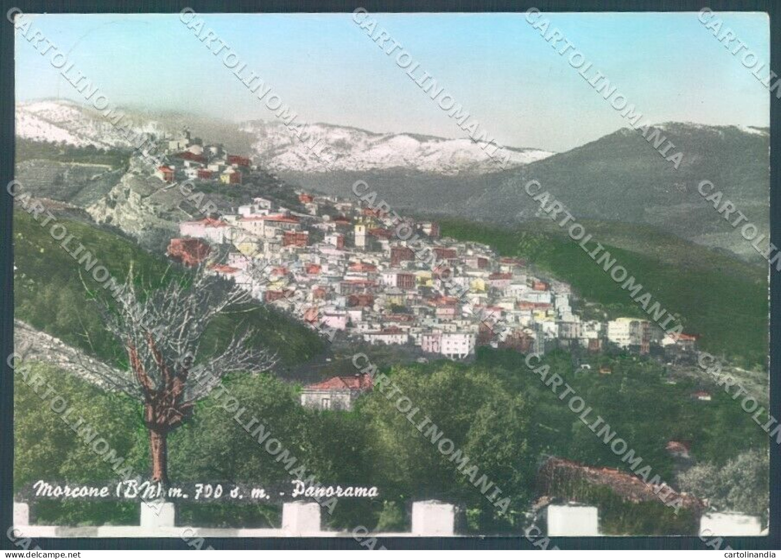 Benevento Morcone Foto FG Cartolina JK1840 - Benevento