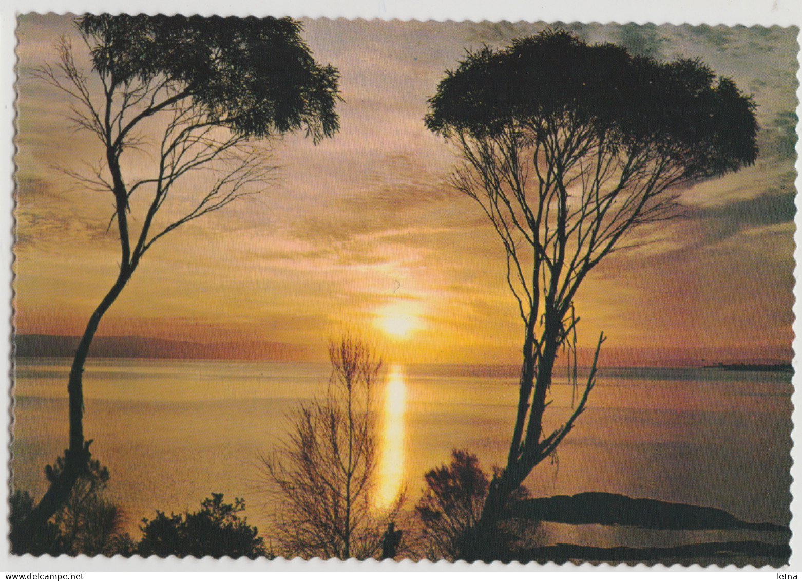 Australia TASMANIA TAS Sunset At OYSTER BAY East Coast ACP1117 Postcard C1960s - Altri & Non Classificati