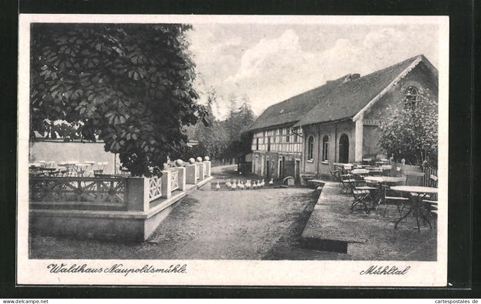 AK Eisenberg I. Thür., Gasthaus Naupoldsmühle Im Mühltal  - Eisenberg