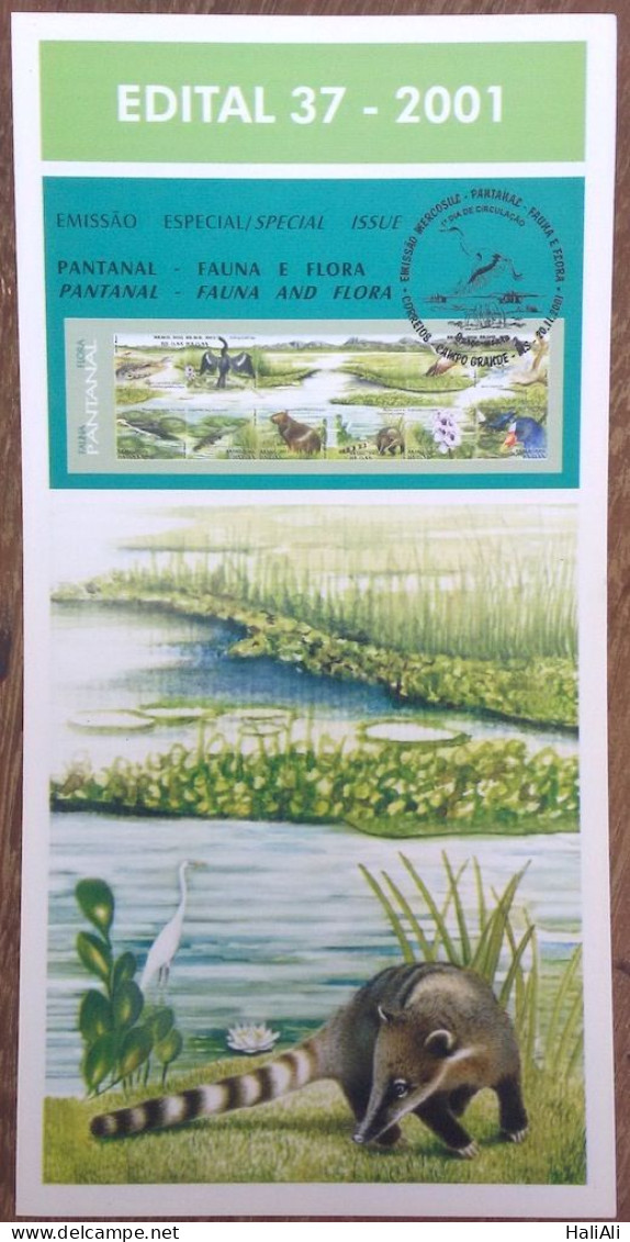 Brochure Brazil Edital 2001 37 Pantanal Fauna And Flora Without Stamp - Covers & Documents