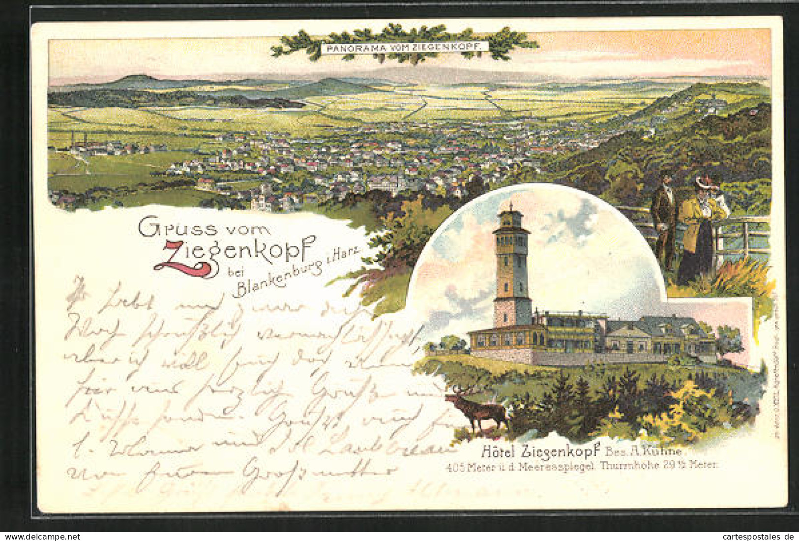 Lithographie Blankenburg /Harz, Hotel Ziegenkopf, Totalansicht  - Blankenburg