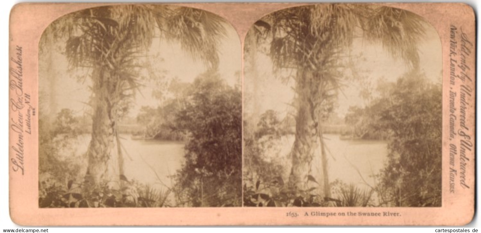Stereo-Fotografie Littleton View Co., Littleton N.H., A Glimpse On The Swanee River Florida  - Photos Stéréoscopiques