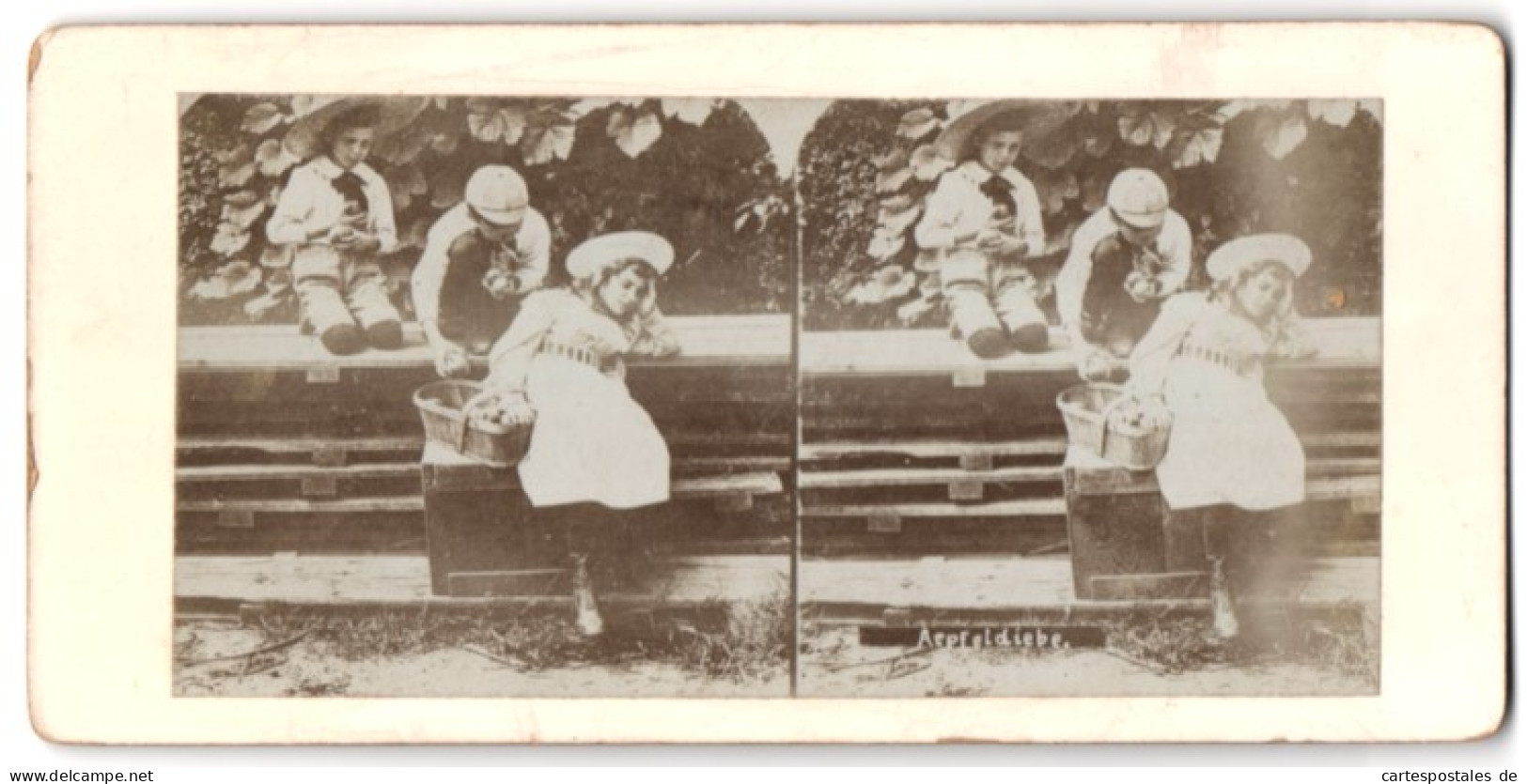 Stereo-Fotografie Unbekannter Fotograf Und Ort, Zwei Knaben Klauen Äpfel Vom Mädchen, Apfeldiebe  - Stereoscopic