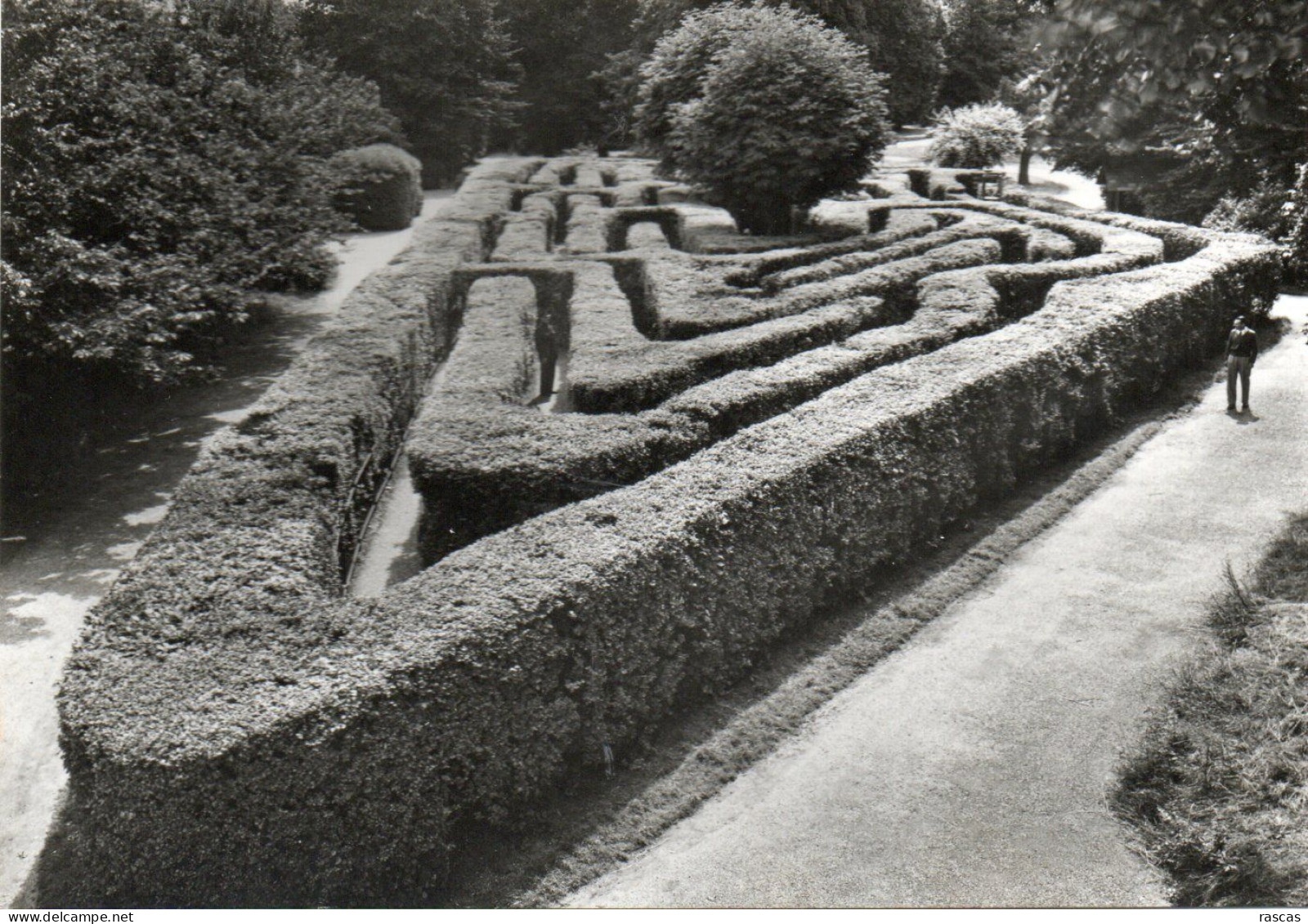 CPSM - S - ANGLETERRE - MIDDLESEX - HAMPTON COURT PALACE - THE MAZE - Middlesex