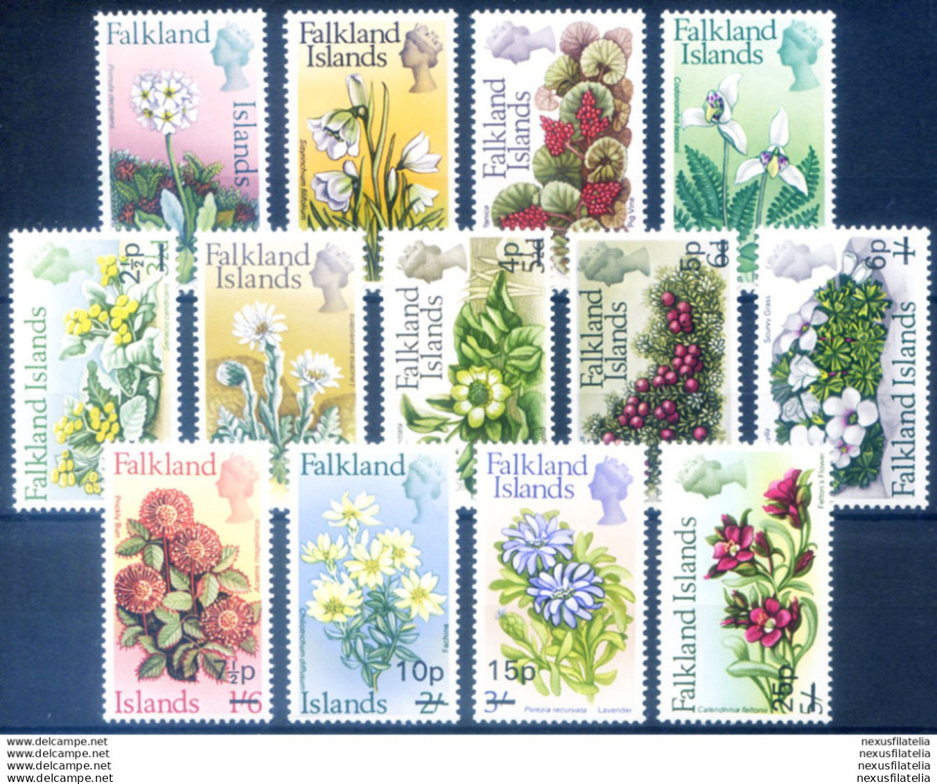 Definitiva. Fiori 1971. - Falkland Islands