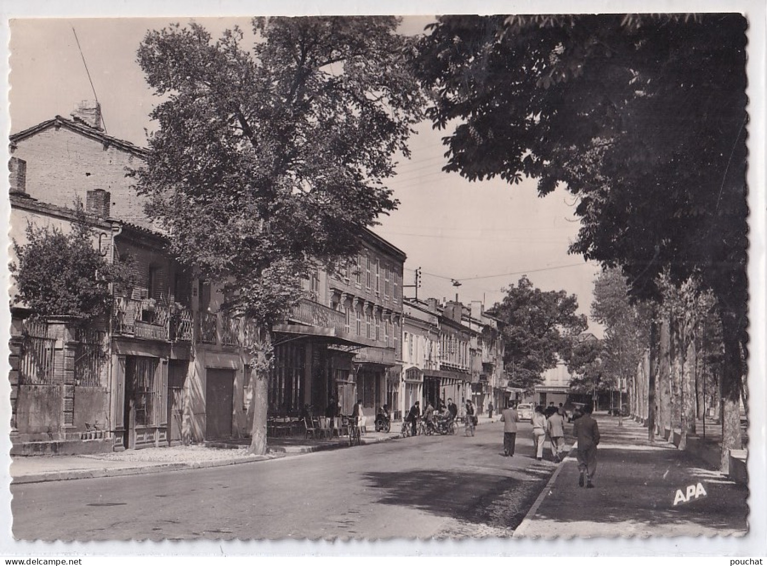 B14-82) CAUSSADE - TARN ET GARONNE - BOULEVARD  DIDIER  REY - ( 2 SCANS ) - Caussade