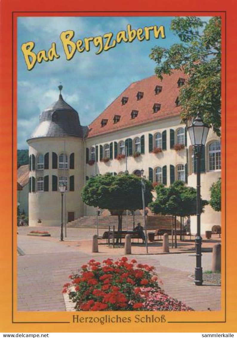 24216 - Bad Bergzabern - Herzögliches Schloss - Ca. 1995 - Bad Bergzabern