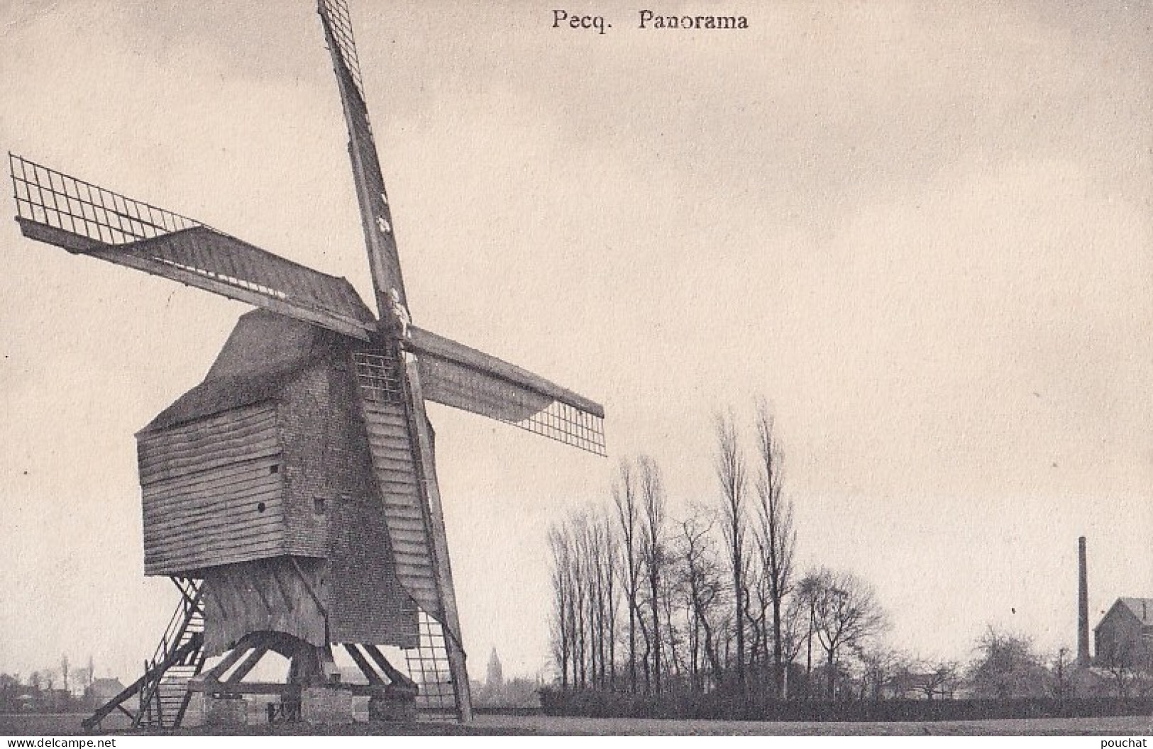 C2- PECQ -  PANORAMA - MOULIN A VENT - MOLEN - (  2 SCANS ) - Pecq