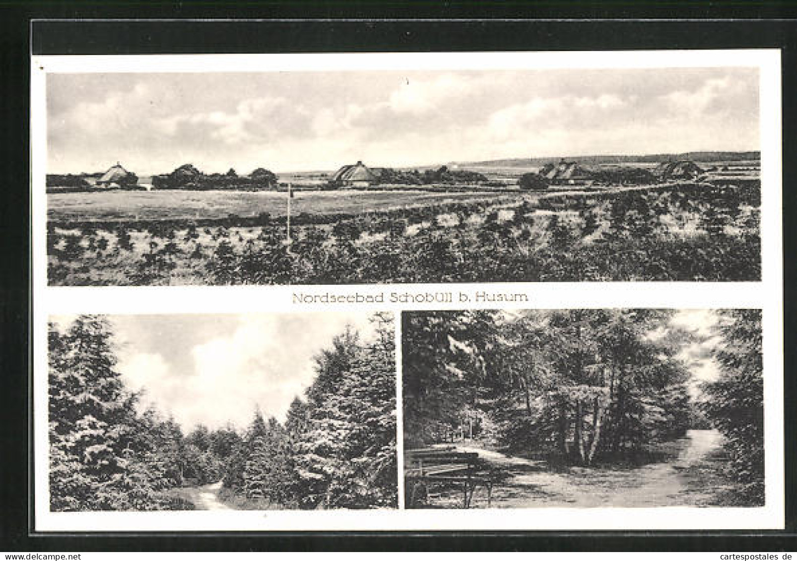 AK Schobüll B. Husum, Panorama, Ortspartie, Waldpartie  - Husum