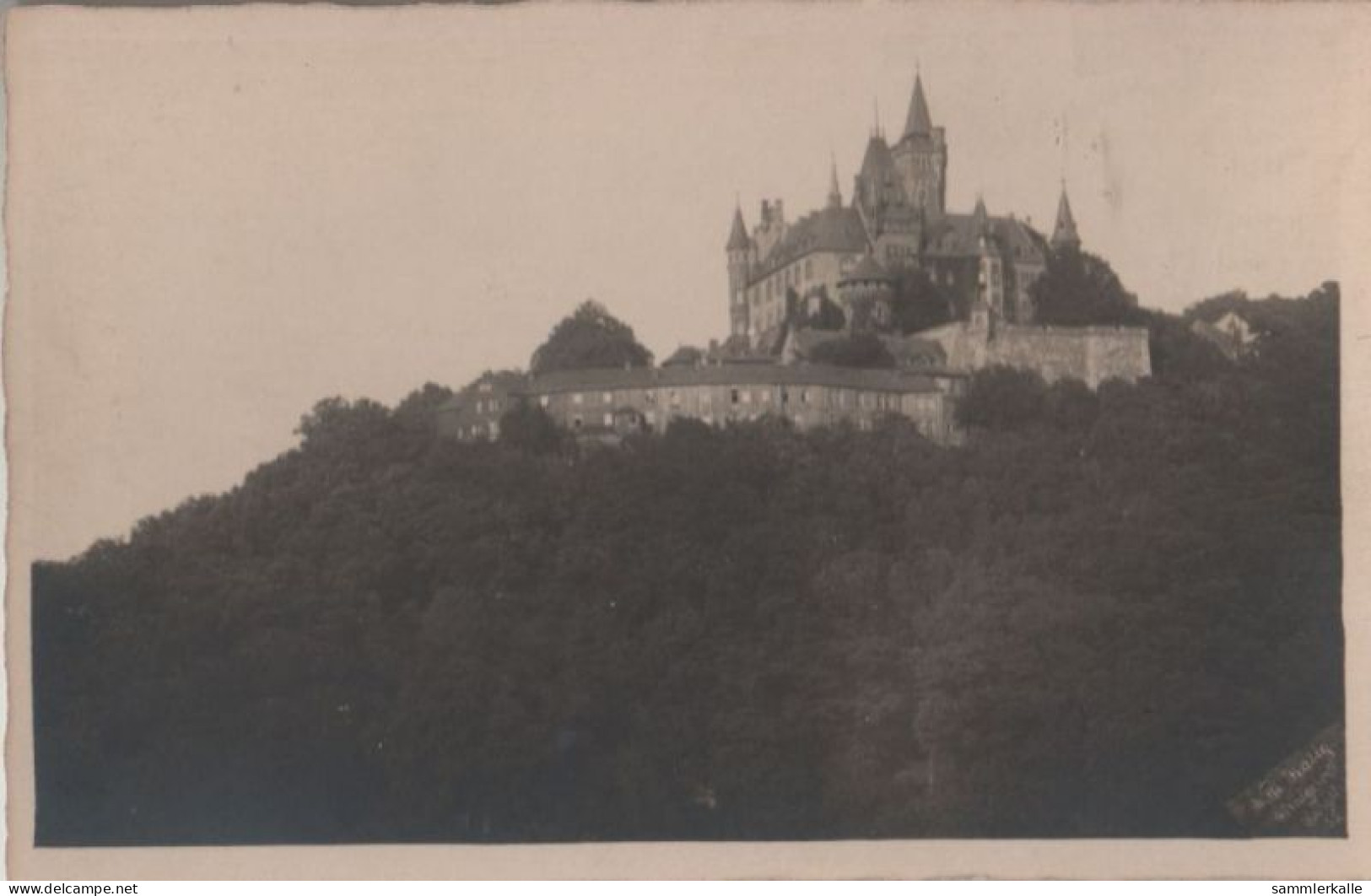 62466 - Wernigerode - Schloss - Ca. 1950 - Wernigerode