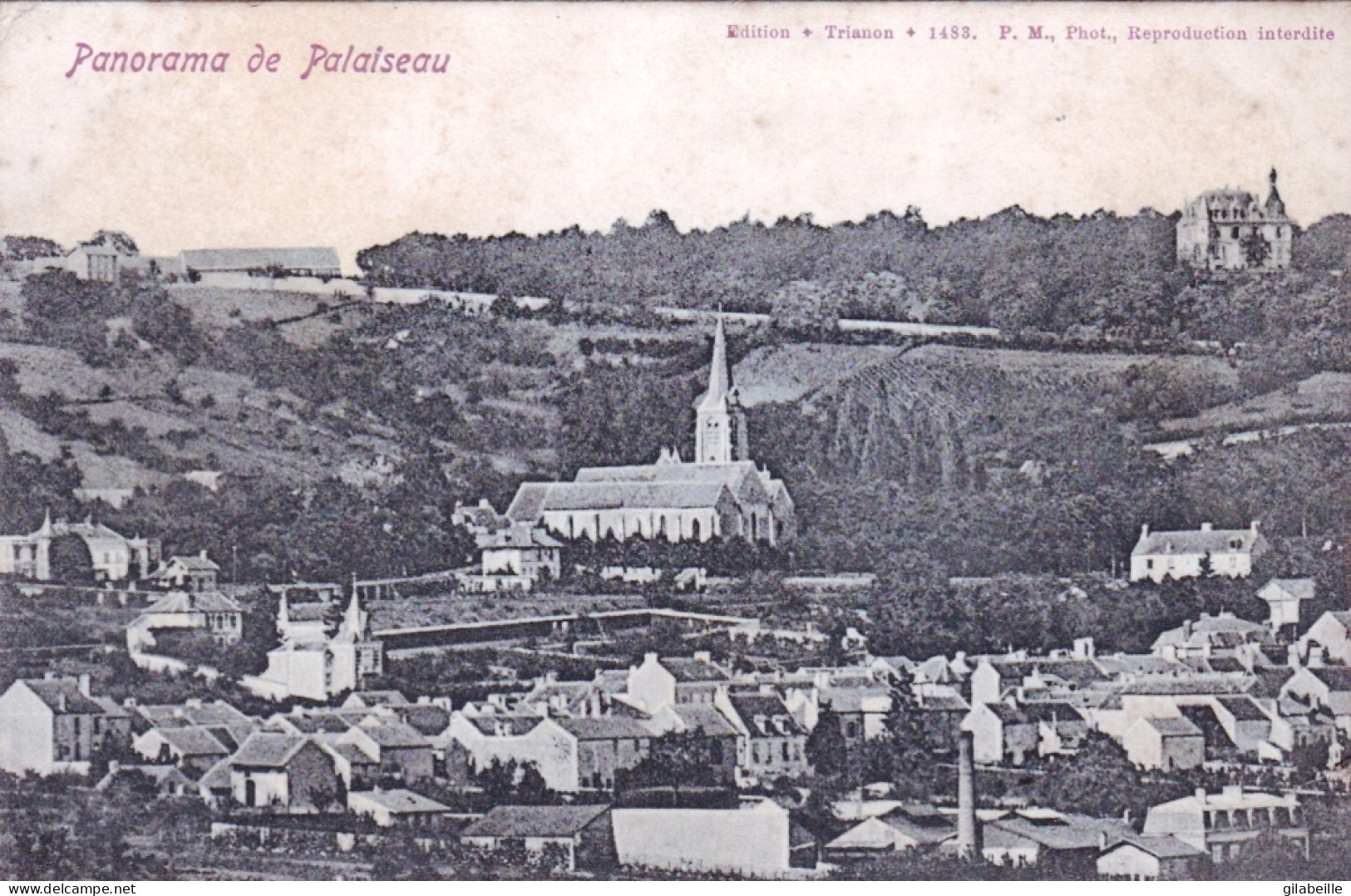 91 - Essonne -  Panorama De PALAISEAU - Palaiseau