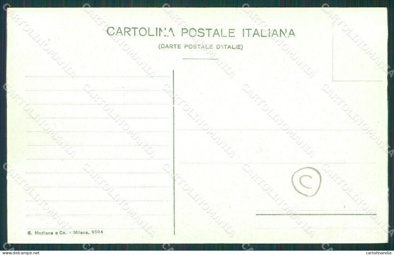 Vibo Valentia Parghelia Terremoto Delle Calabrie Cartolina QZ4201 - Vibo Valentia