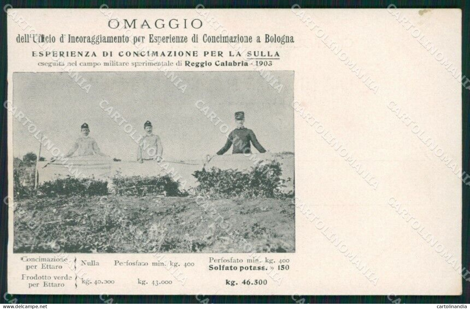 Reggio Calabria Bologna Militari Agricoltura Cartolina QZ4364 - Reggio Calabria