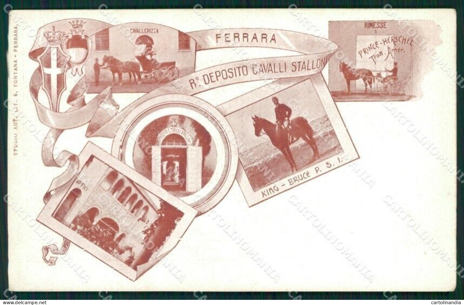 Ferrara Città Militari Deposito Cavalli Cartolina QZ4445 - Ferrara