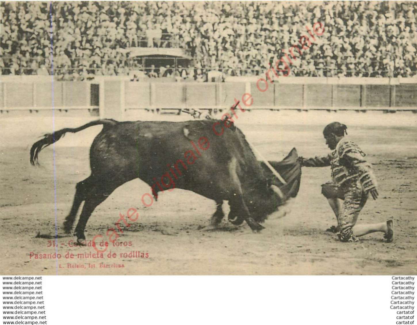 Corrida De Toros . Pasando De Muleta De Rodillas . (arènes , Taureaux , Toréro ... ) . - Stierkampf