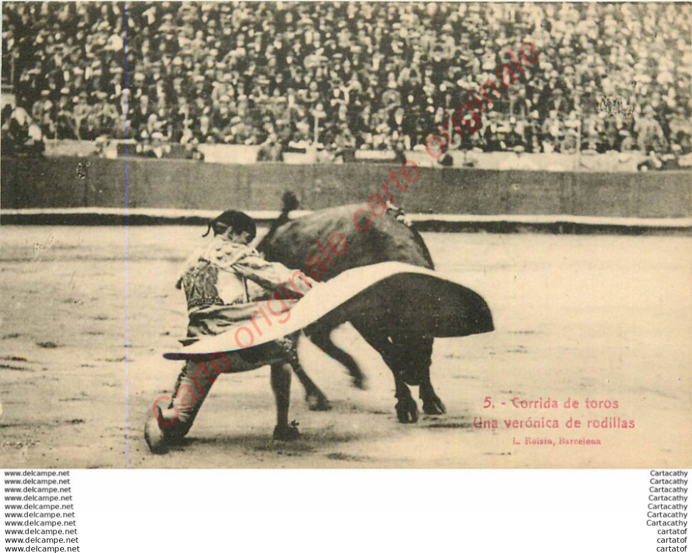 Corrida De Toros . Una Véronica De Rodillas . (arènes , Taureaux , Toréro ... ) . - Corrida