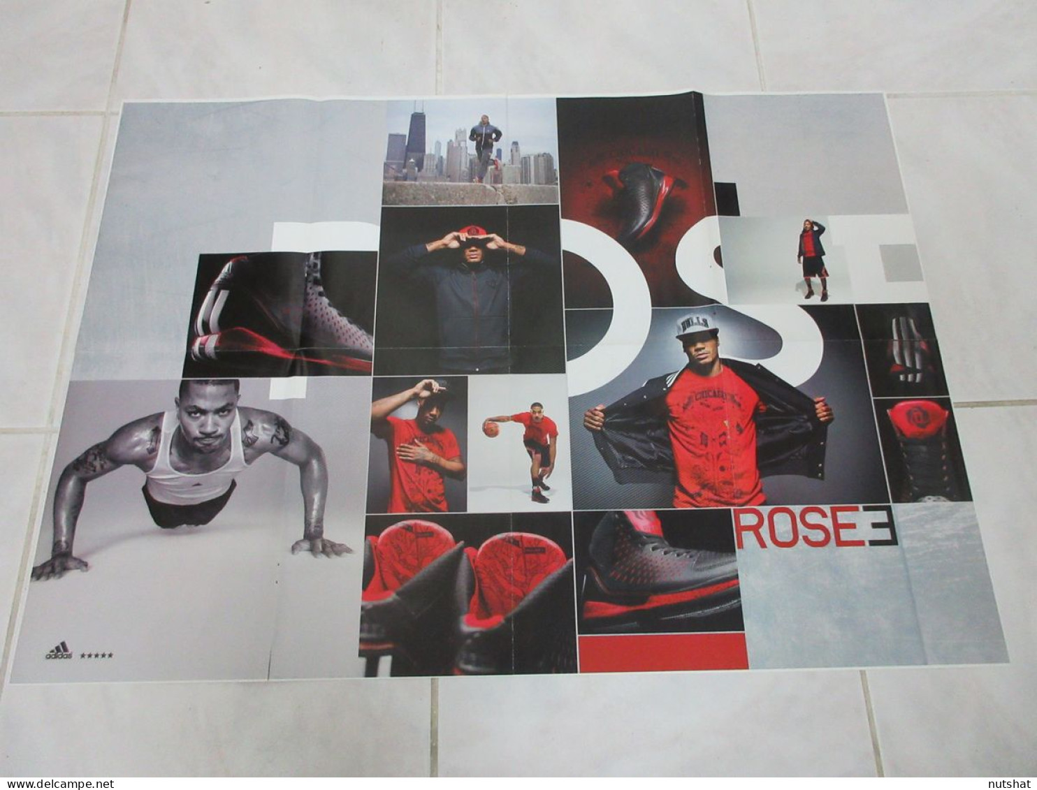 BASKET NBA POSTER 10 Evan FOURNIER DENVER Au Dos Derrick ROSE CHICAGO BULLS      - Altri & Non Classificati