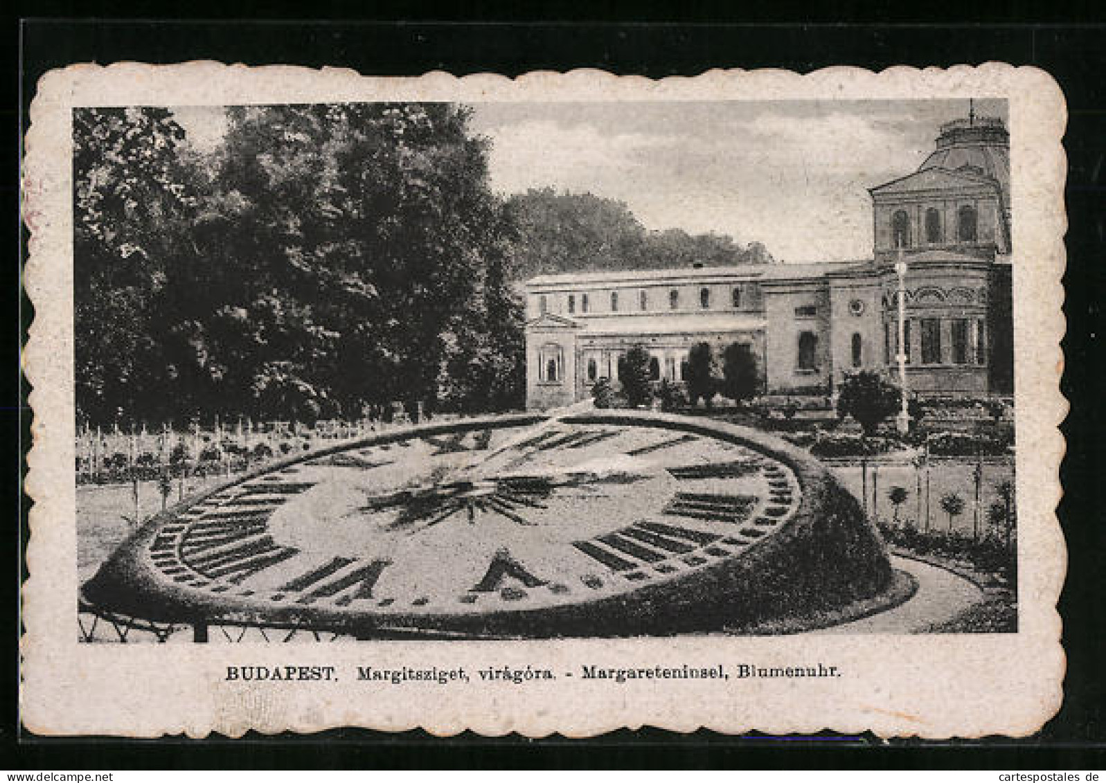 AK Budapest, Margareteninsel Mit Blumenuhr  - Astronomy