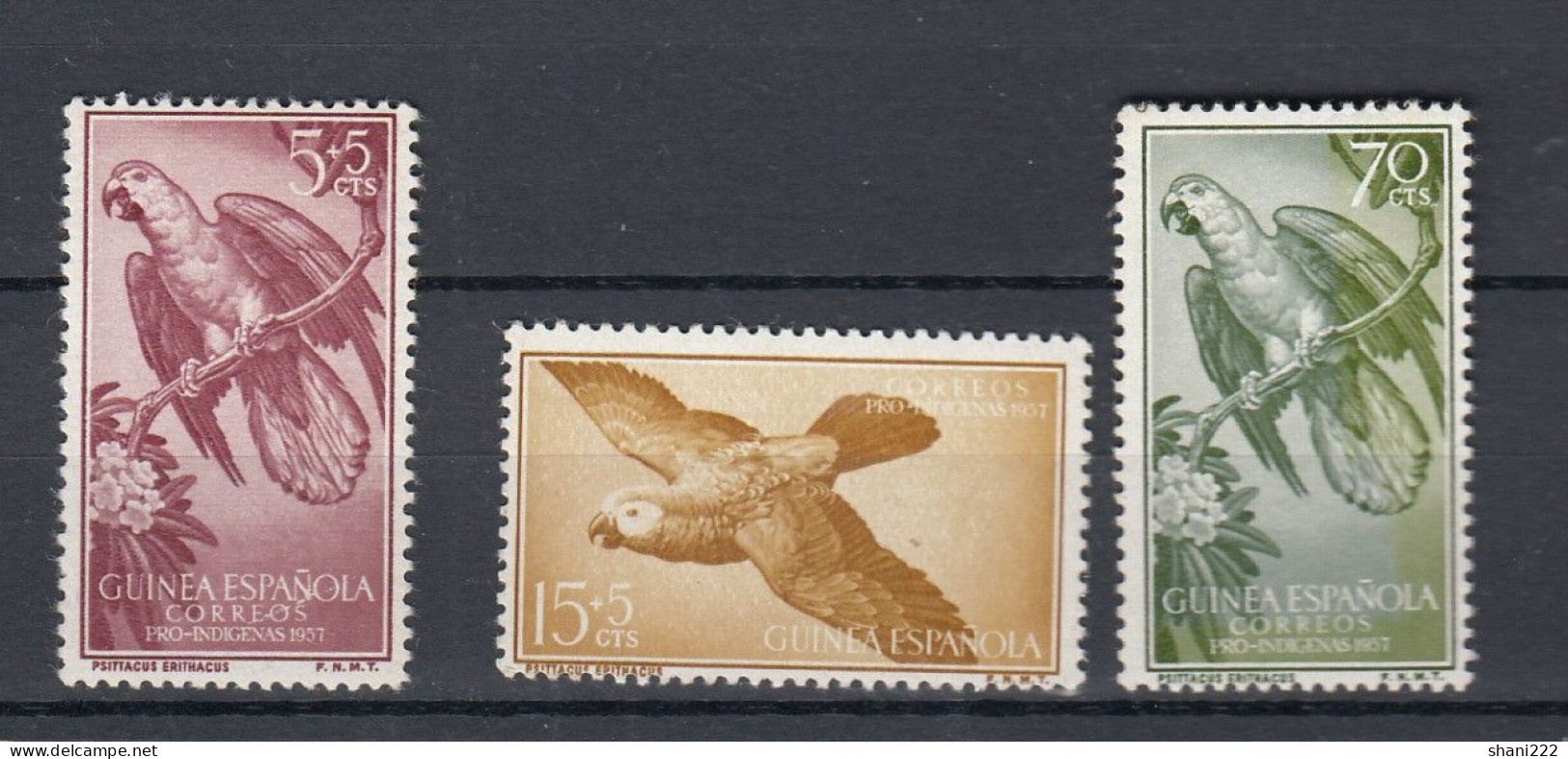 Spanish Guinea - 1957 Birds  - MNH (e-816) - Spanish Guinea