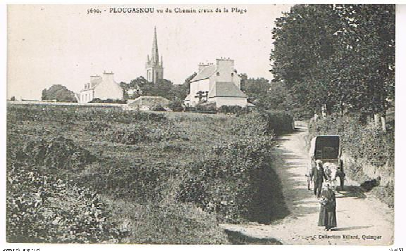 29    PLOUGASNOU VU DU CHEMIN CREUX DE LA PLAGE 1907 - Plougasnou