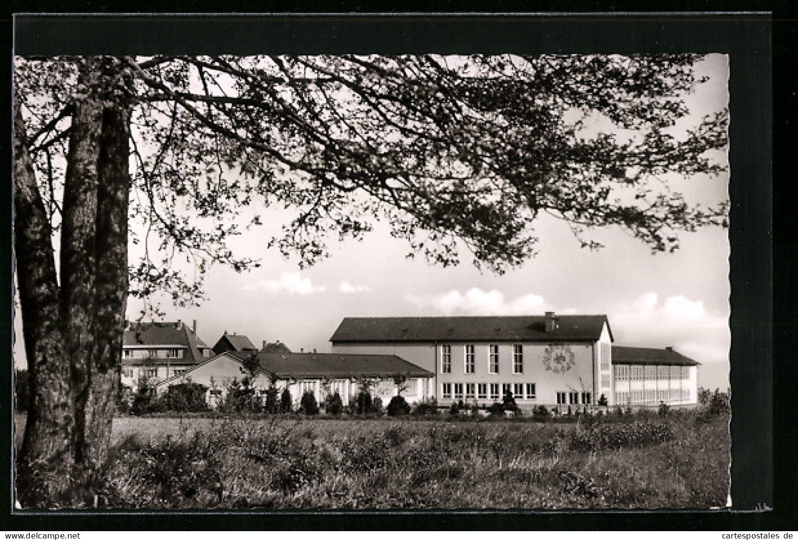 AK Oberursel Im Taunus, Volksschule-Nord Und Mittelschule  - Taunus