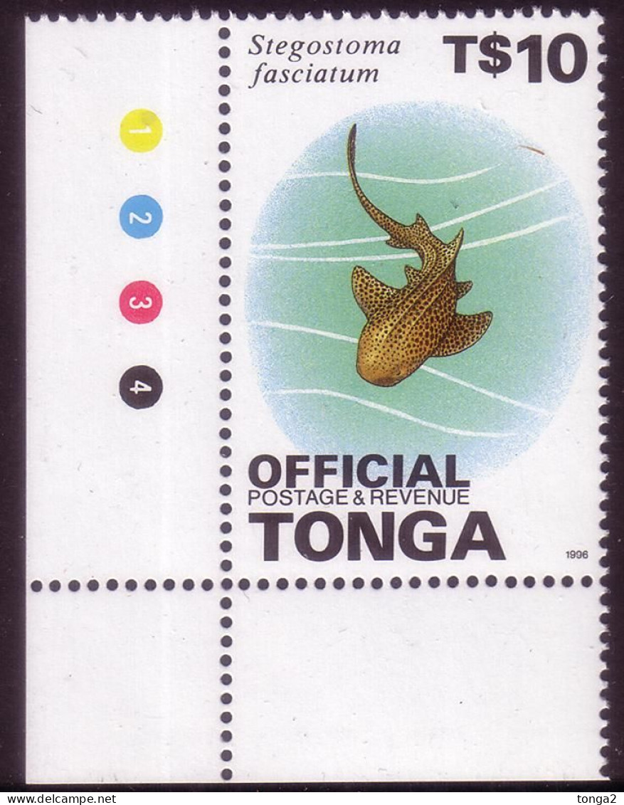 Tonga 1996  $10 High Value Shark MNH - Tonga (1970-...)