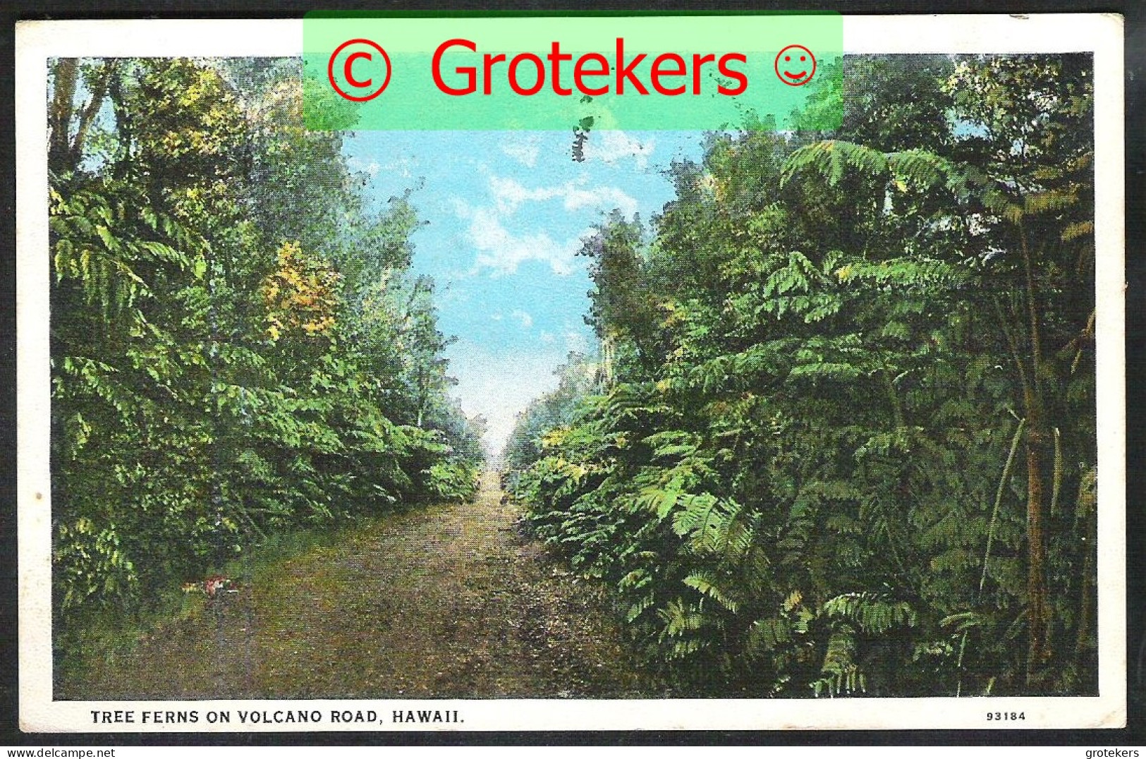 HAWAII Tree Ferns On Volcano Road Sent 1932 From HONOLULU To St. Trond/ SAFFRAENBERG / Belgium - Big Island Of Hawaii