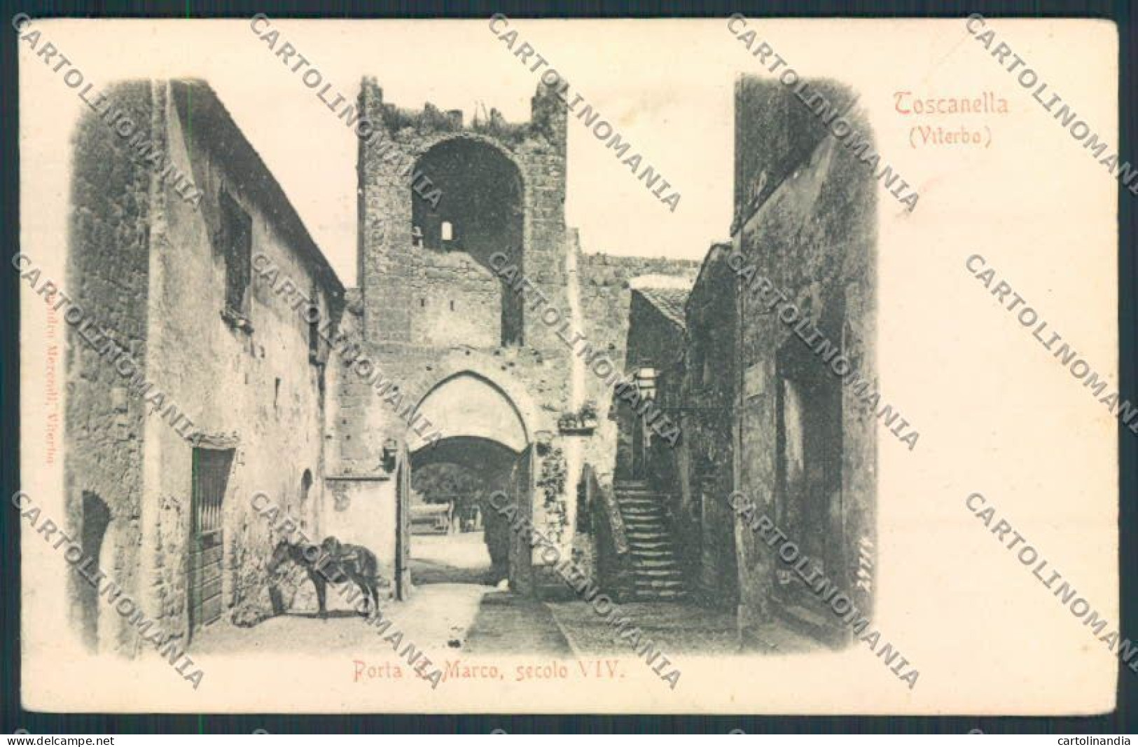 Viterbo Toscanella Cartolina MV1558 - Viterbo