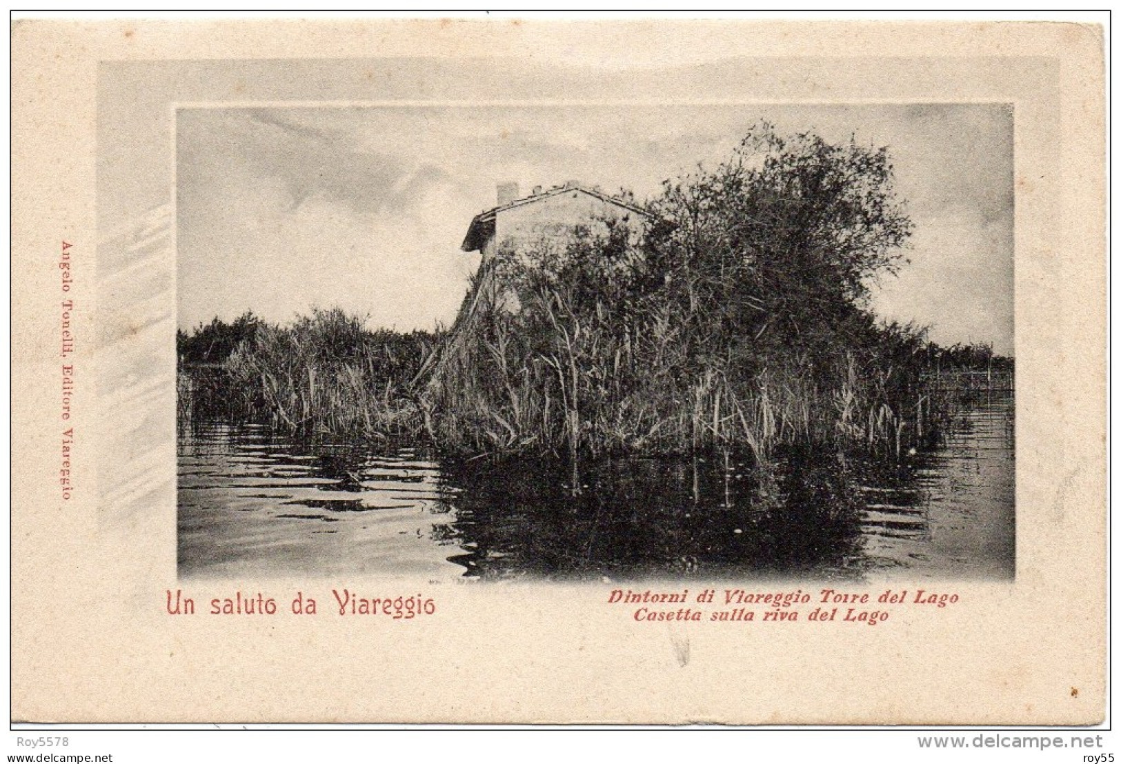 Toscana-viareggio-un Saluto Da Viareggio Torre Del Lago Veduta Casetta Sulla Riva - Viareggio