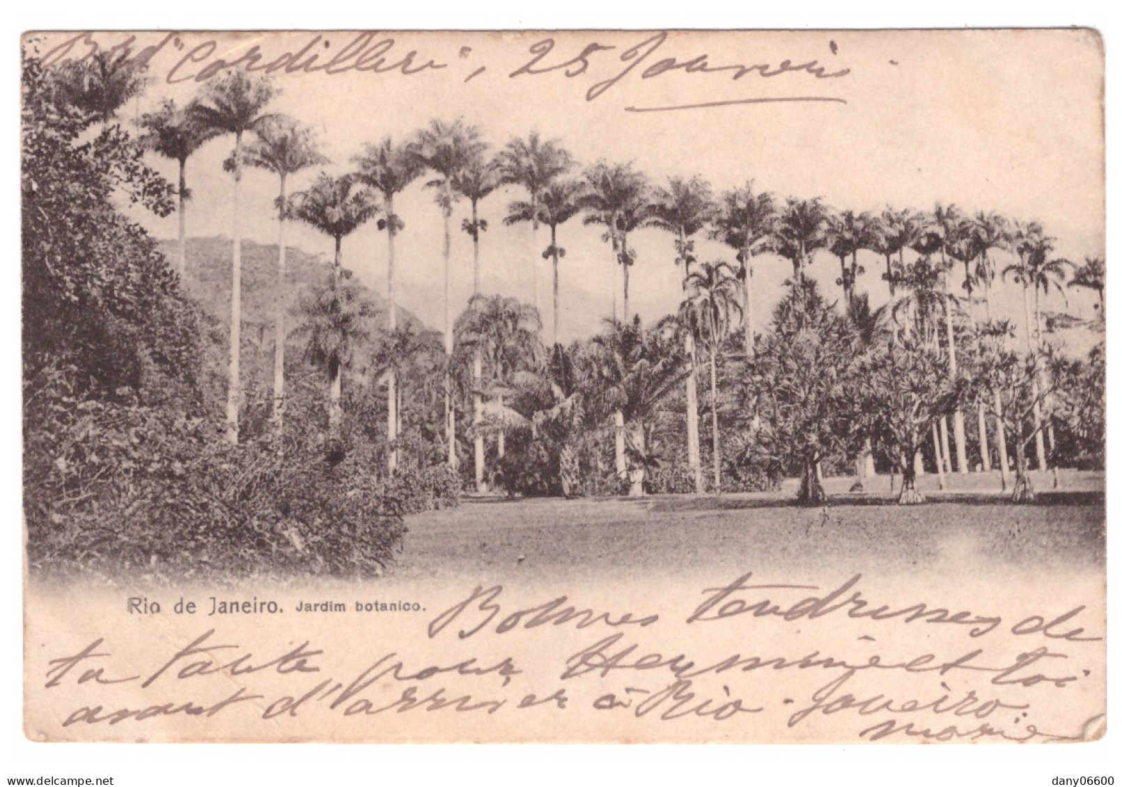 RIO DE JANEIRO Jardin Botanico  - Rio De Janeiro