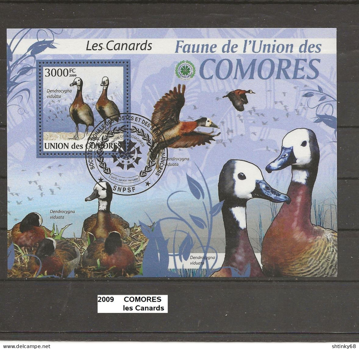 Bloc Comores De 2009 Oblitéré Canards 3000 FC - Comores (1975-...)