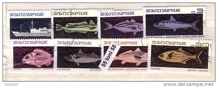 1969 Fauna  FISH 8 V.- Used /oblitere (O)  BULGARIA / Bulgarie - Used Stamps