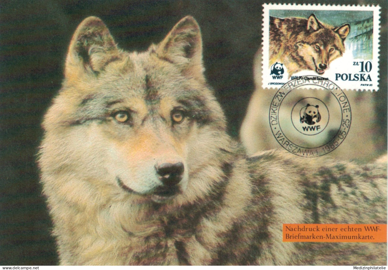 Druck WWF Wolf 1985 - Honden