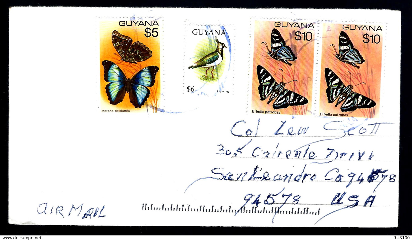 EN PROVENANCE DE LA GUYANE POUR SAN LEANDRO (USA) THÈME PAPILLONS -  - Papillons