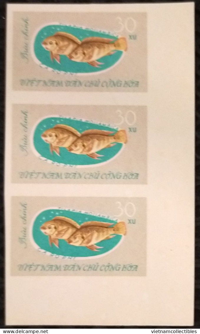 North Vietnam Viet Nam MNH Imperf Stamps In Strip 1967 : Salt-water Fishes / Fish (Ms206) - Viêt-Nam