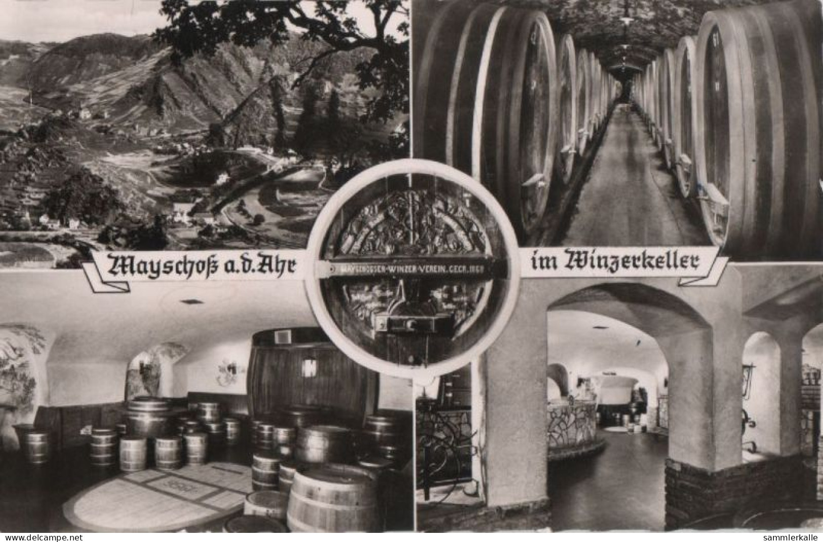 71625 - Mayschoss - Im Winzerkeller - 1966 - Bad Neuenahr-Ahrweiler